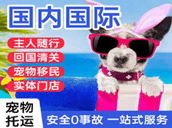 铜仁凤凰航空托运国际宠物托运 【国